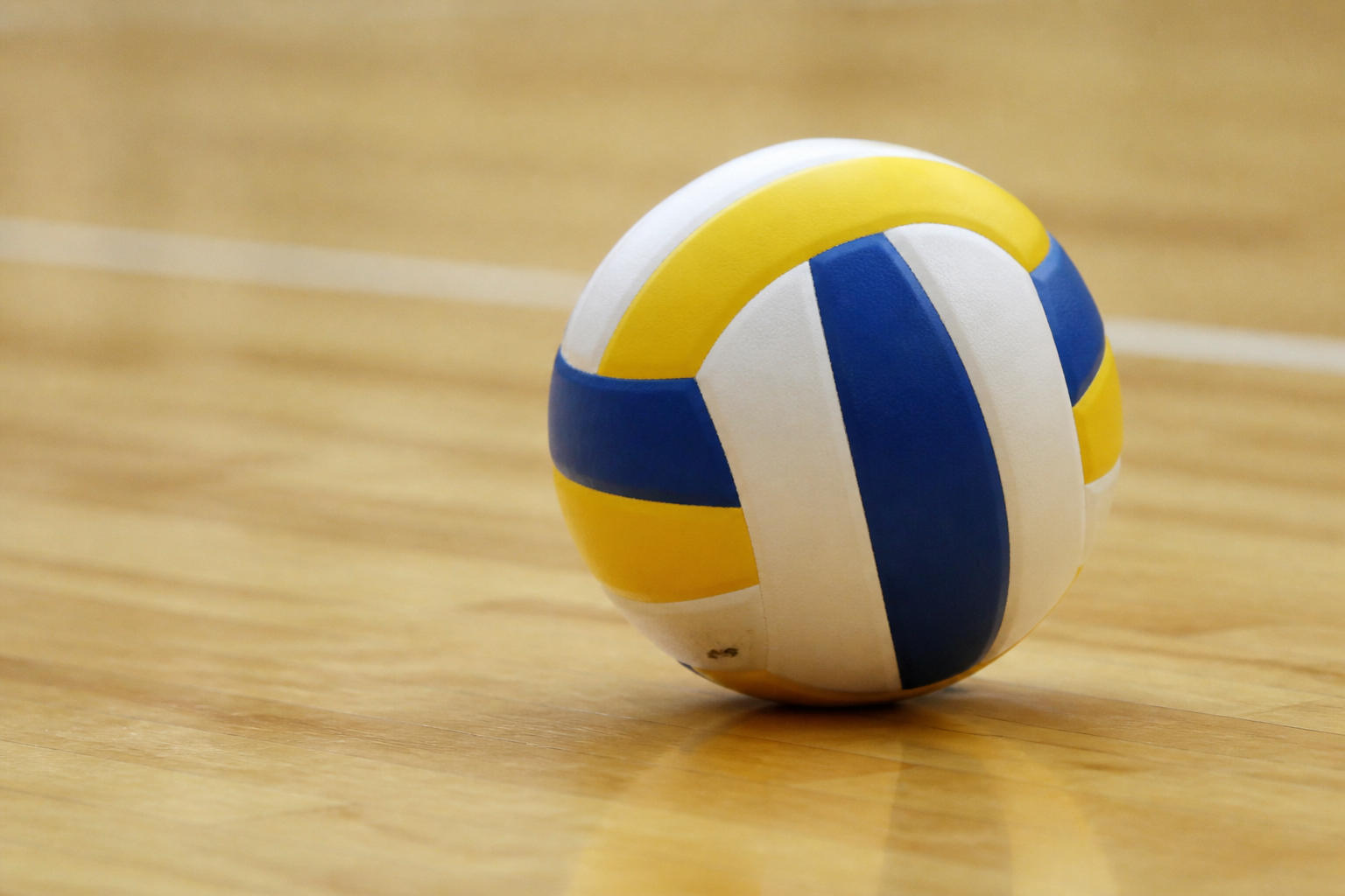 Filenin Sultanları Sırbistan'ı 3-0 Devirerek Avrupa Şampiyonası'nda Finale Yükseldi
