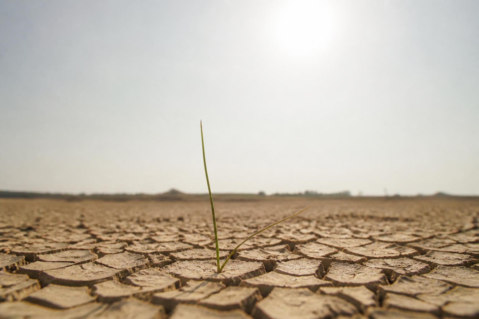 Dev El Niño Dalgası Tarihin En Sıcak Yılını Tetikleyebilir